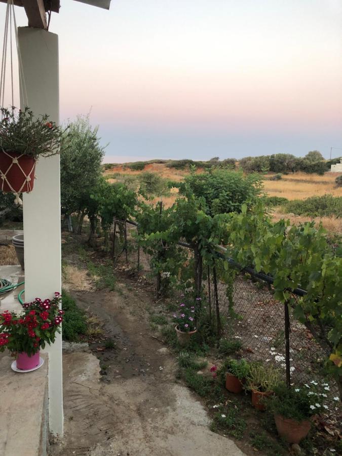 Ambelakia Bungalow Monemvasía Eksteriør billede