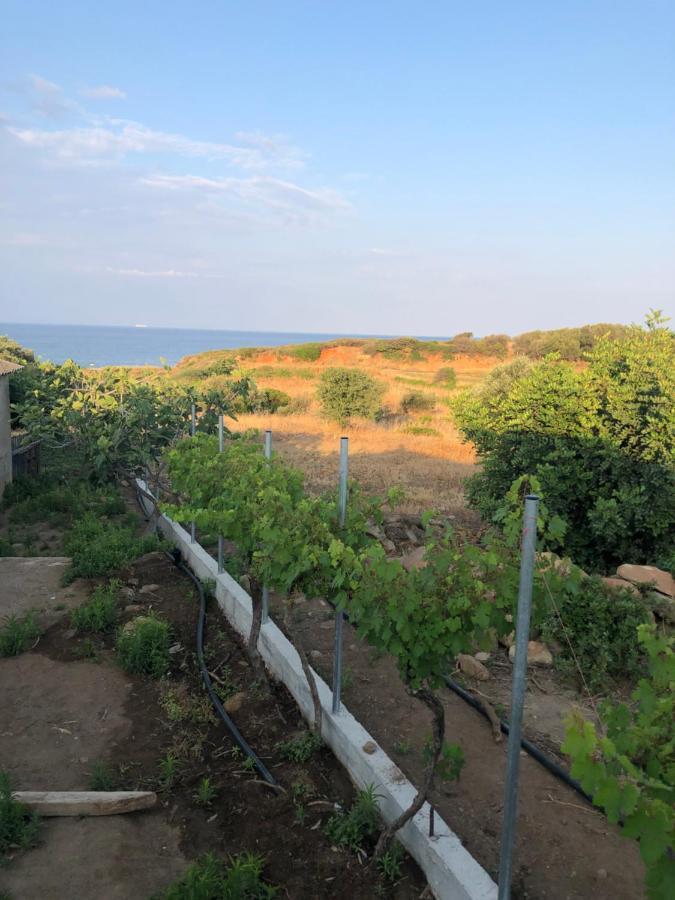 Ambelakia Bungalow Monemvasía Eksteriør billede